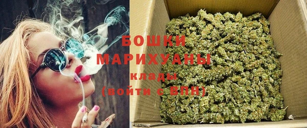 ГАЛЛЮЦИНОГЕННЫЕ ГРИБЫ Бронницы