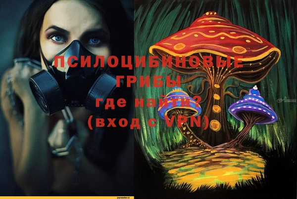 ГАЛЛЮЦИНОГЕННЫЕ ГРИБЫ Бронницы