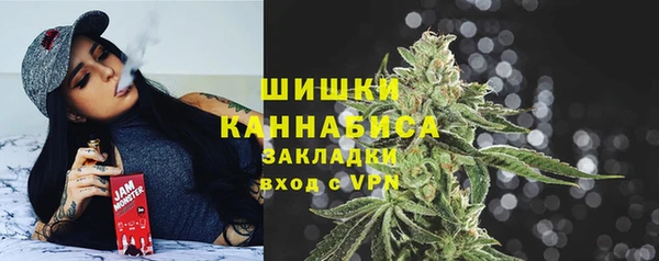 ГАЛЛЮЦИНОГЕННЫЕ ГРИБЫ Бронницы